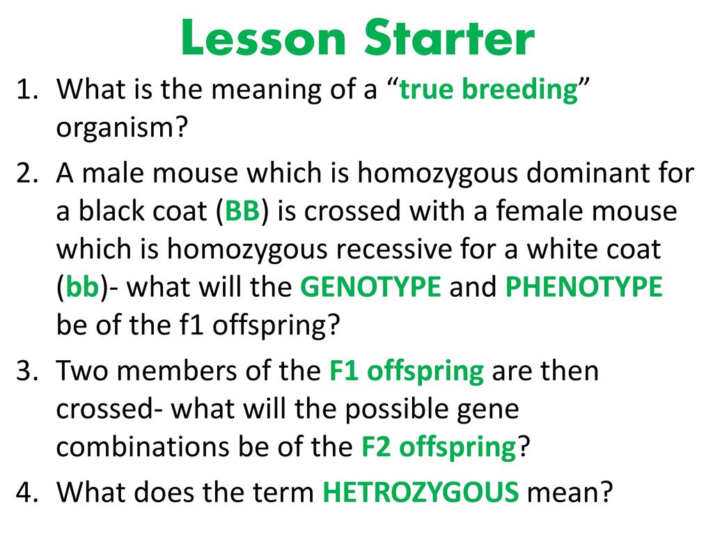 True Breeding Definition true-breeding-definition