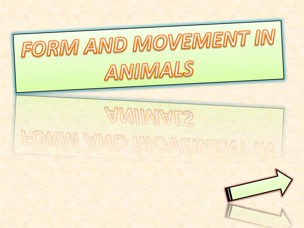 FORM AND MOVEMENT IN ANIMALS - ppt download