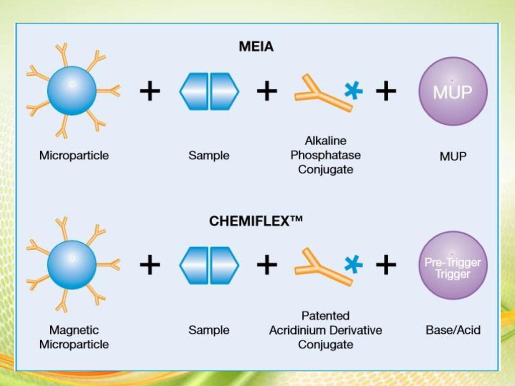 Chemiluminecent microparticle)) immunoassay - ppt download