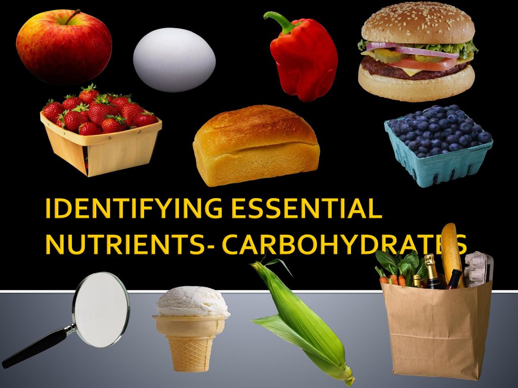 IDENTIFYING ESSENTIAL NUTRIENTS- CARBOHYDRATES - ppt download