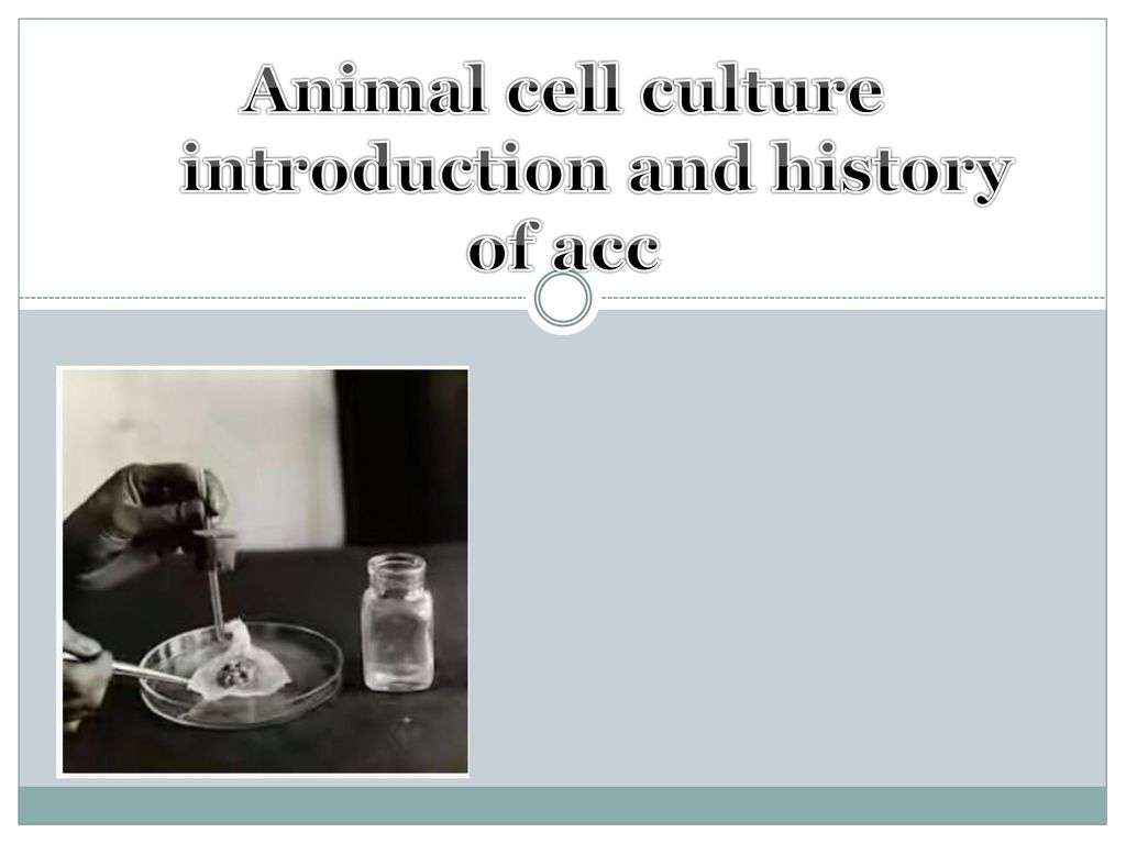 Animal cell culture introduction and history of acc - ppt download Animal cell culture introduction and history of acc - ppt download