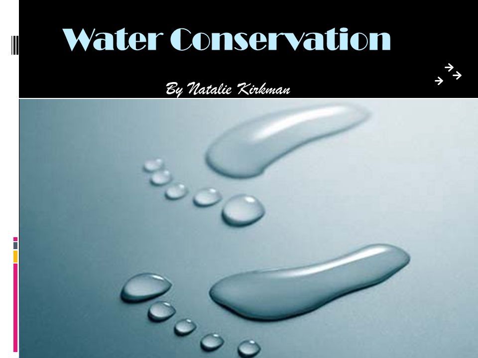 Water Conservation By Natalie Kirkman. Why should we save water?  People  use our water faster then the planet can replenish it  For fish and animals.  - ppt download