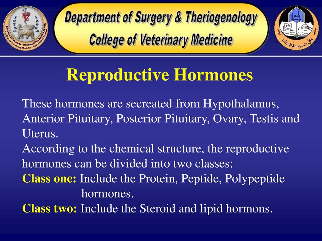 Reproductive Hormones - ppt download