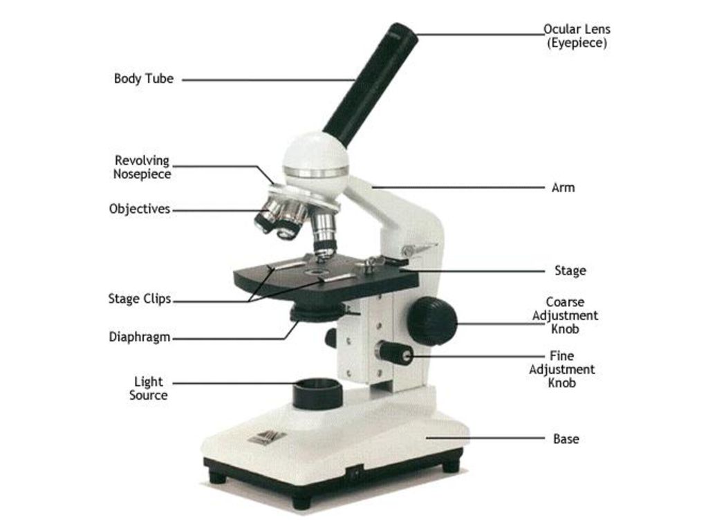 最前線の ZMST1 TRUSCO ズーム実体顕微鏡 三眼 LED照明 SCOPRO