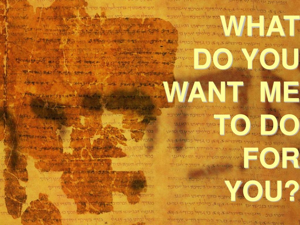 What Do You Want Me To Do For You Ppt Download What Do You Want Me To Do For You Ppt Download