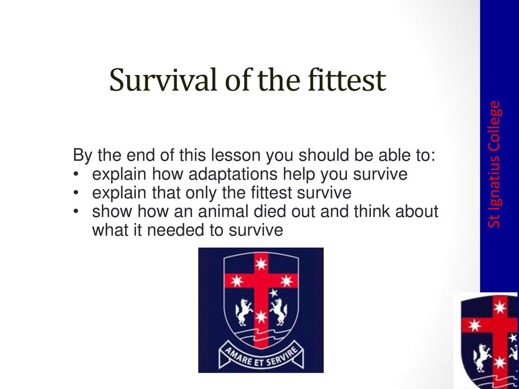 Survival of the Fittest by Primary School, Low Ash