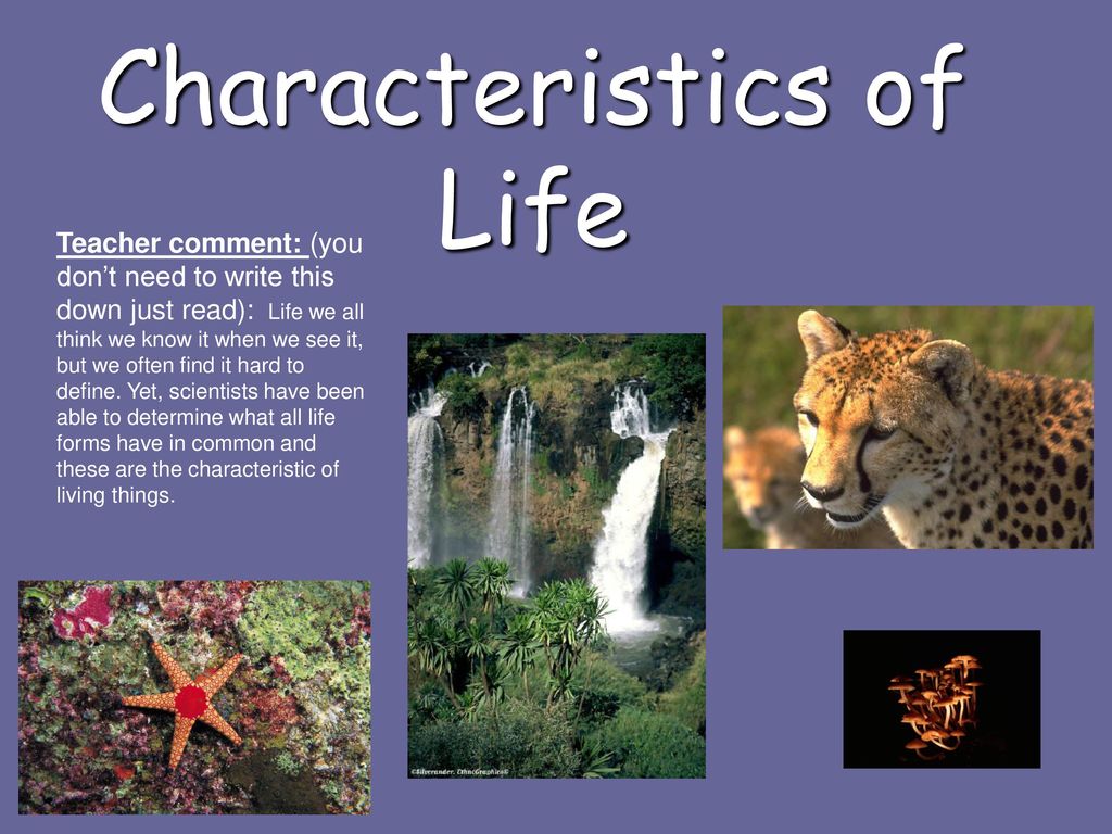 Characteristics of Life - ppt download