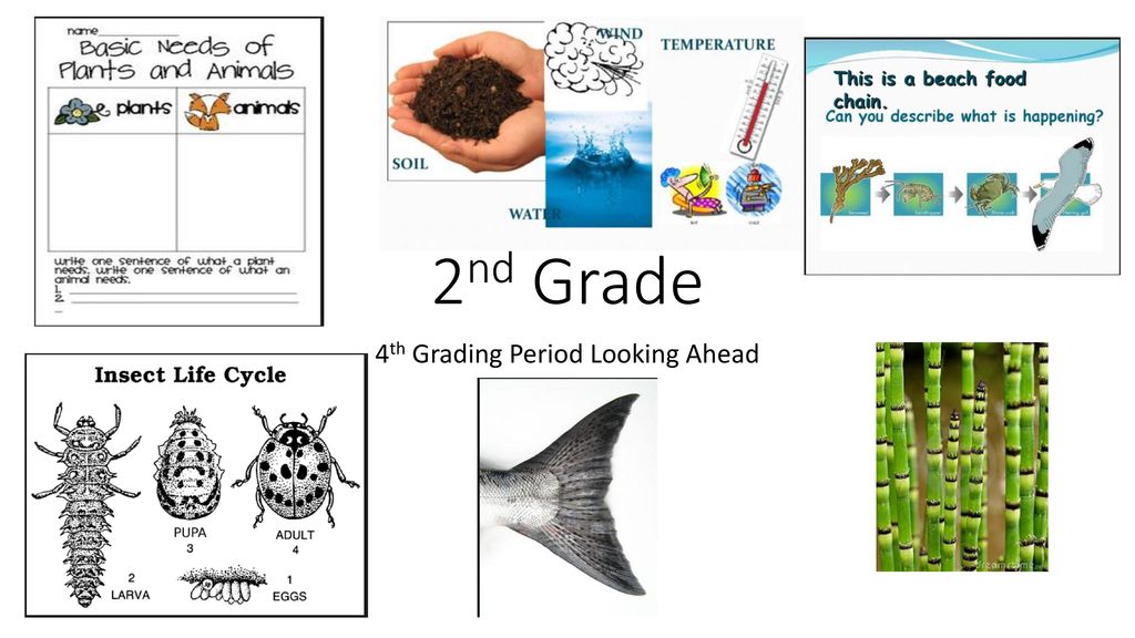 4th Grading Period Looking Ahead - ppt download