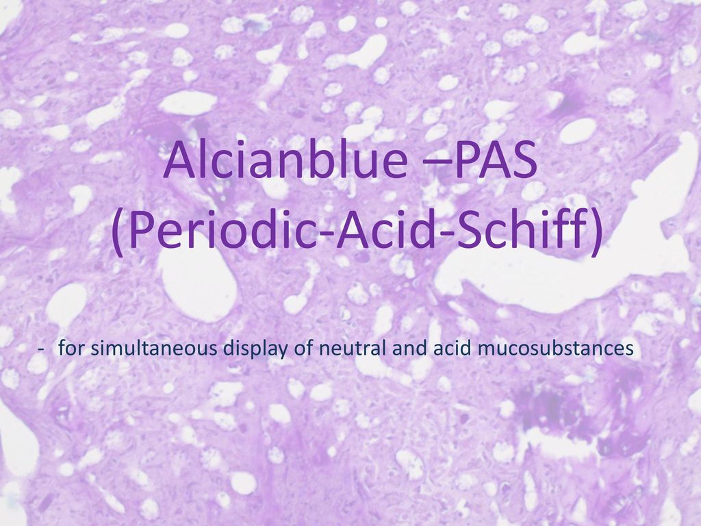 Alcianblue –PAS (Periodic-Acid-Schiff) - ppt download
