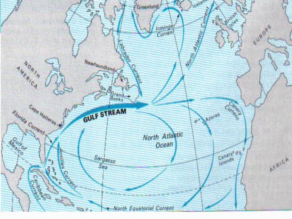 Мощное теплое атлантическое течение. Гольфстрим и Холодное течение. Течение Гольфстрим на карте. Гольфстрим и Лабрадорское течение. Гольфстрим на карте мирового океана.