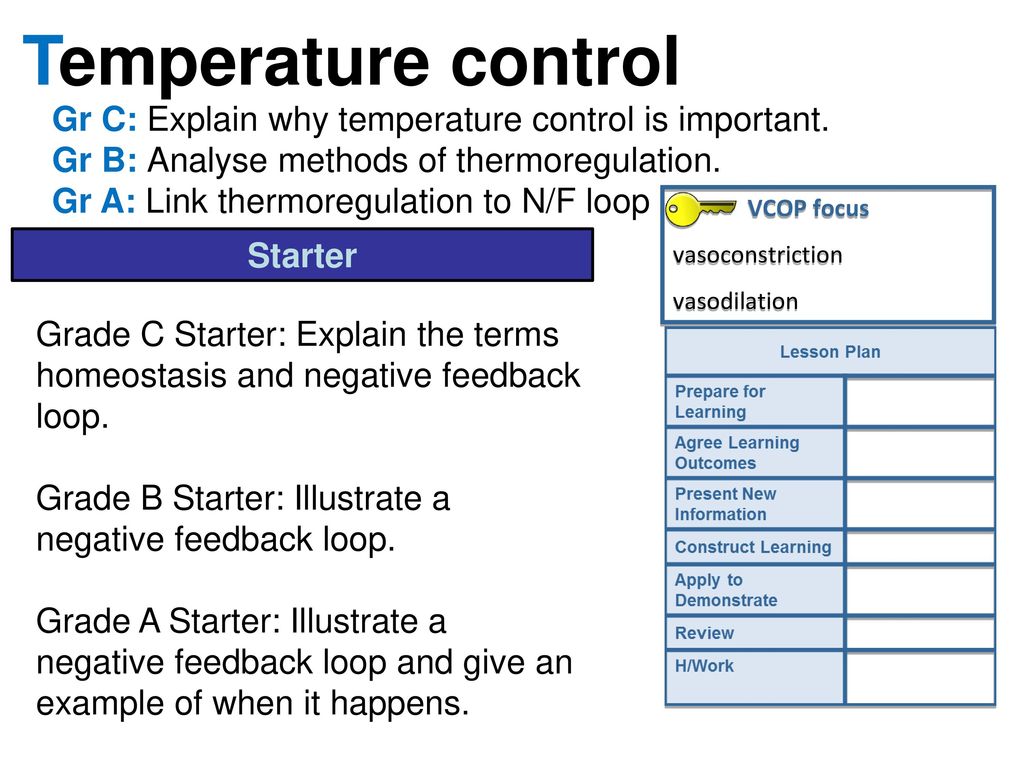 Temperature Control Gr C Explain Why Temperature Control Is Important Gr B Analyse Methods Of Thermoregulation Gr A Link Thermoregulation To N F Loop Ppt Download