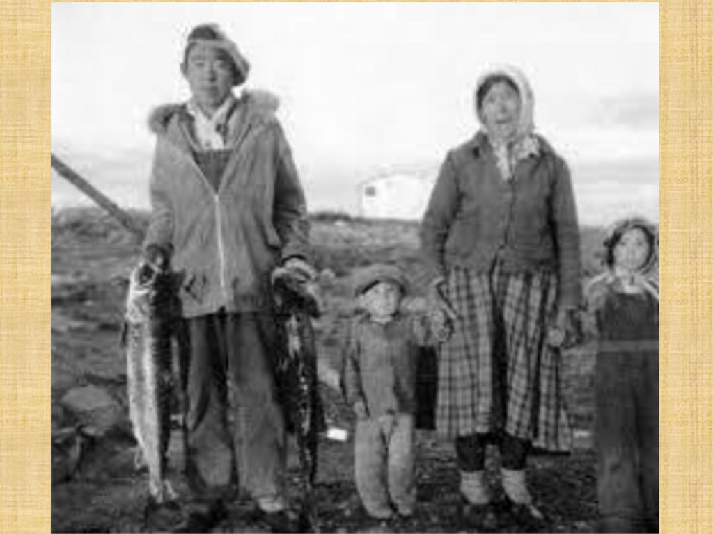 Chipewyan or Denesuline People - ppt download