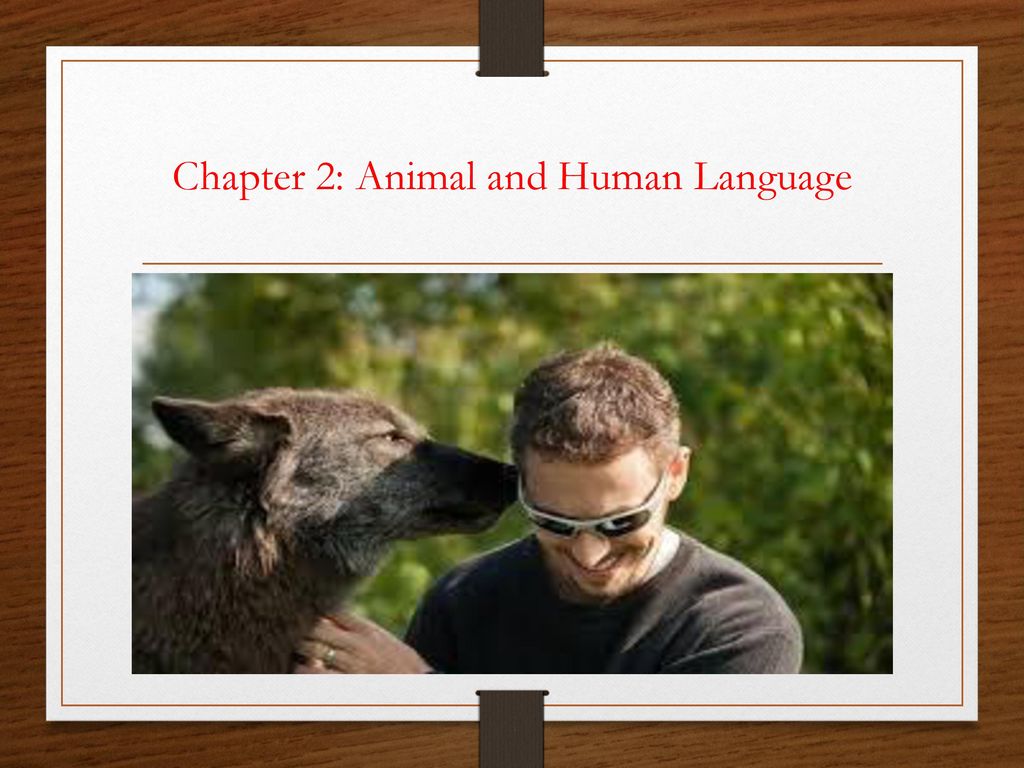 Chapter 2: Animal and Human Language - ppt download Chapter 2: Animal and Human Language - ppt download