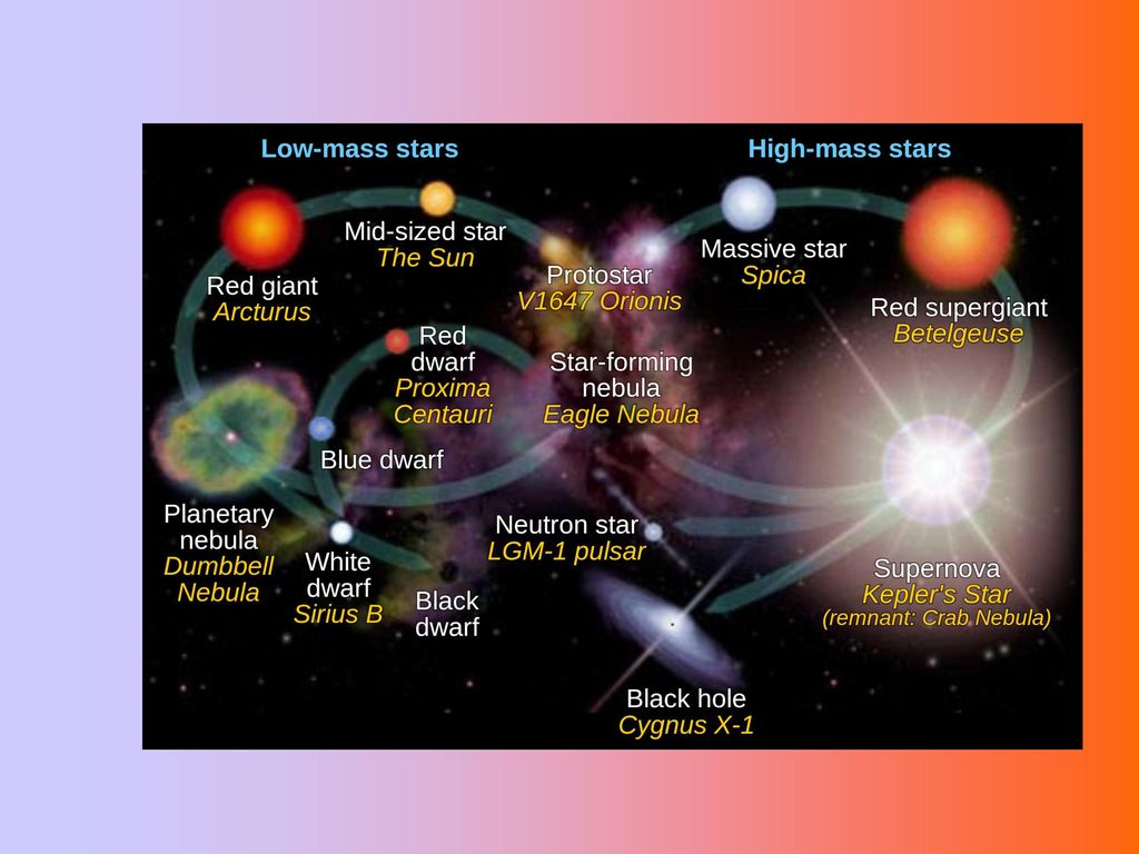 Финал эволюции звезды 7 букв. Главная последовательность звезд. Эволюция звезд. Звезда порядка. Порядок эволюции звезд.
