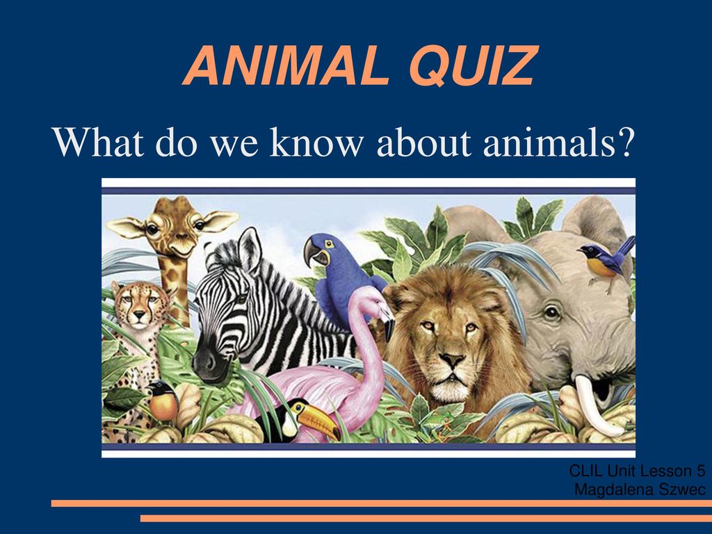 ANIMAL QUIZ What do we know about animals? CLIL Unit Lesson 5 - ppt download