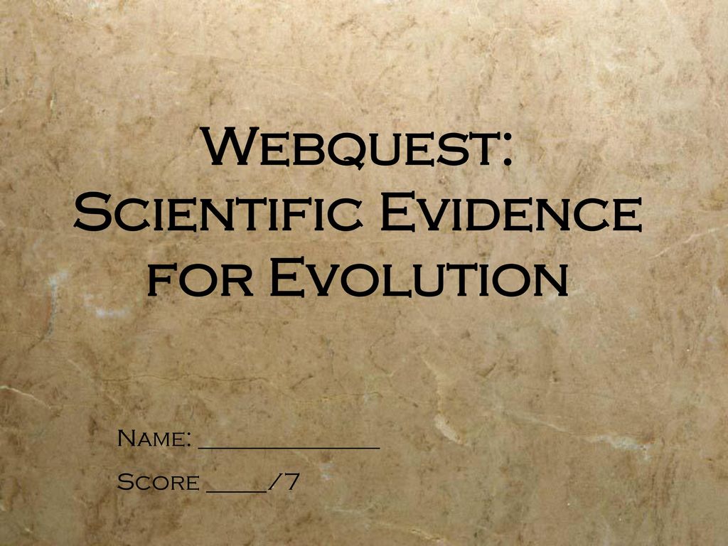 Webquest Scientific Evidence For Evolution Ppt Download
