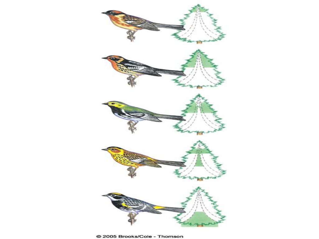 Chapter 4 Chapter 3 Chapter 5.1, ppt download Biology Diagrams