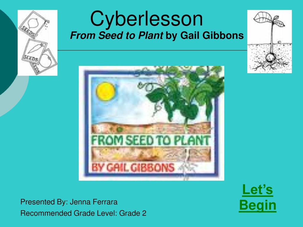From Seed To Plant By Gail Gibbons Ppt Download