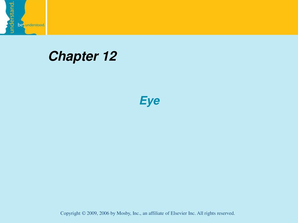 Chapter 12 Eye Copyright © 2009, 2006 by Mosby, Inc., an affiliate of Elsevier  Inc. All rights reserved. - ppt download