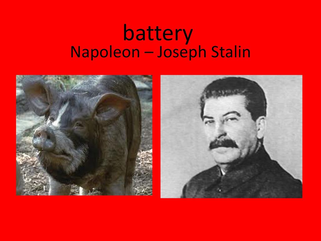 Napoleon – Joseph Stalin - ppt download