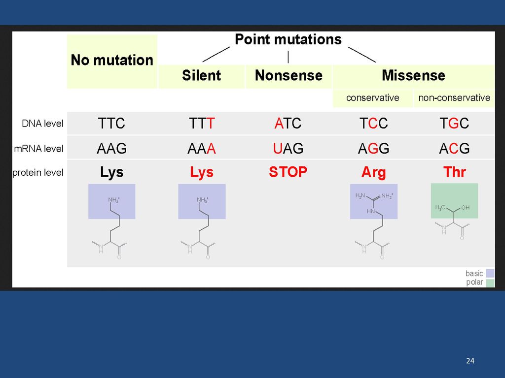 cystic-fibrosis-then-and-now-ppt-download