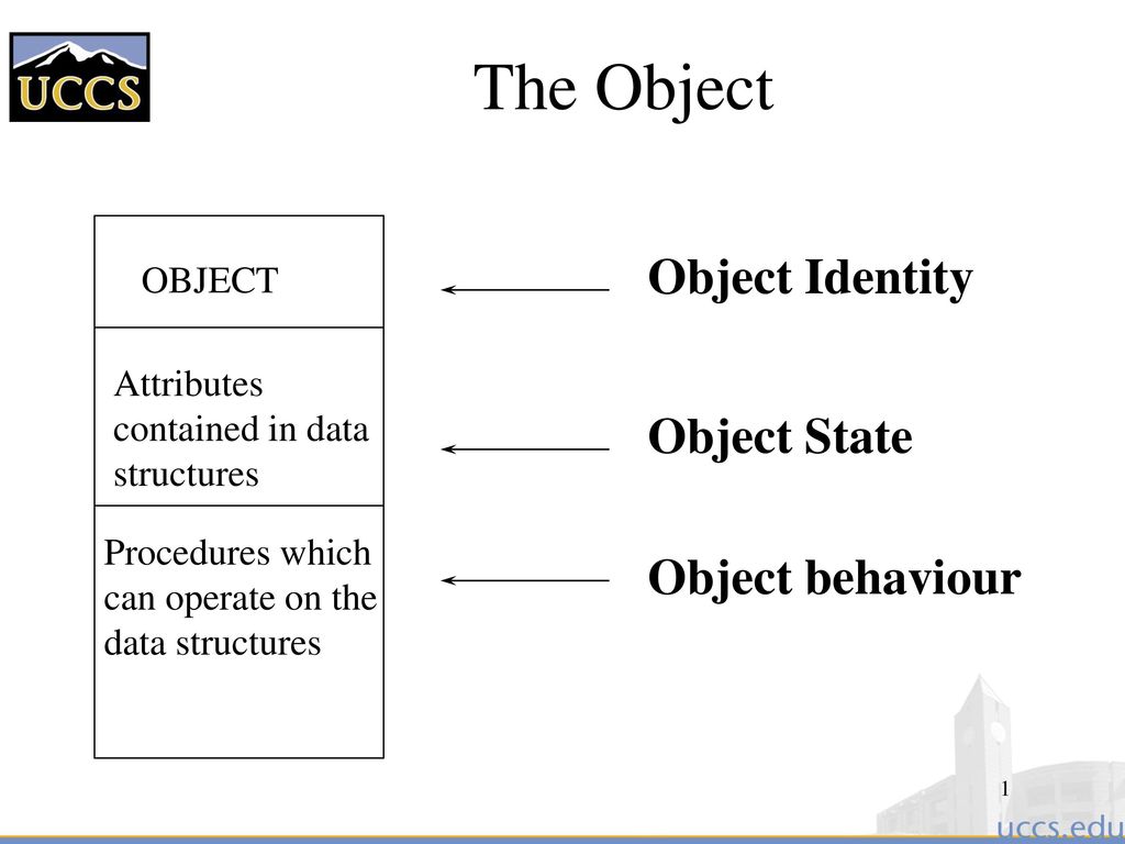 The Object Object Identity Object State Object behaviour OBJECT - ppt  download