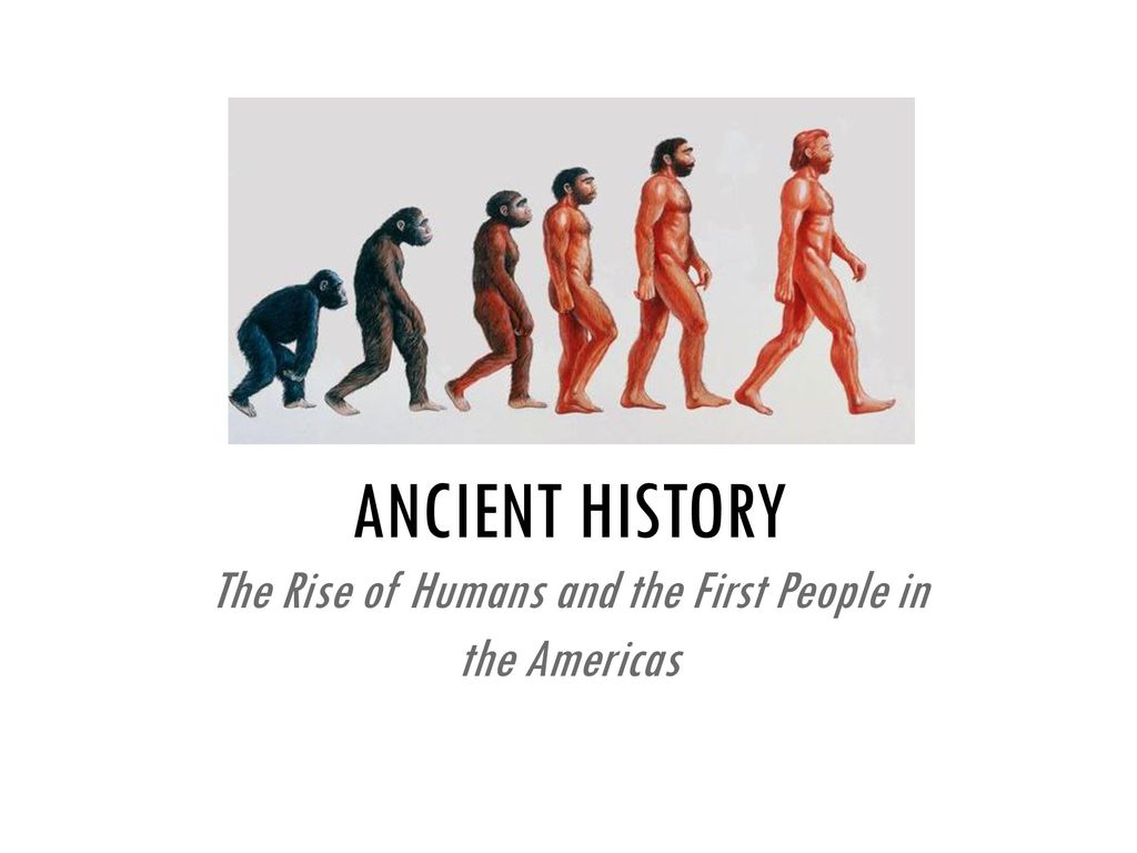 1863 Huxley From Ape To Man Evolution By Paul D Stewart, 56% OFF