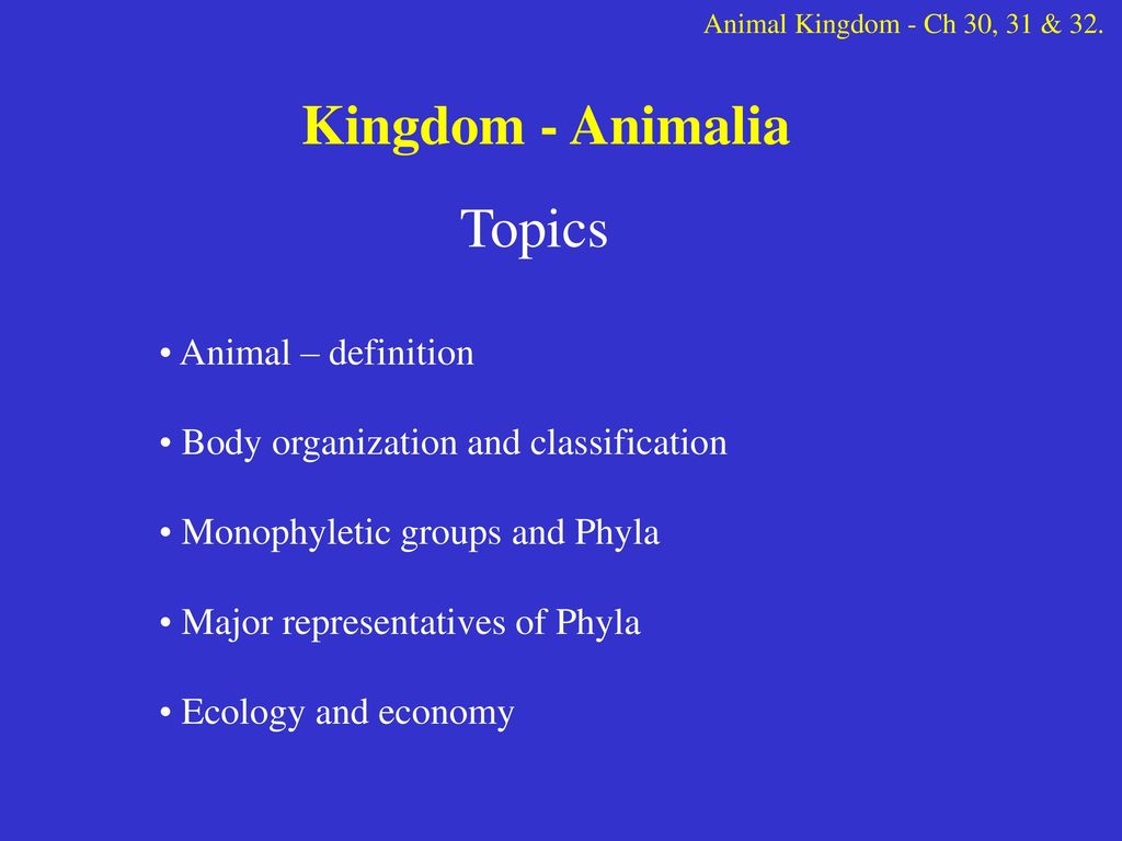 Kingdom - Animalia Topics Animal – definition - ppt download