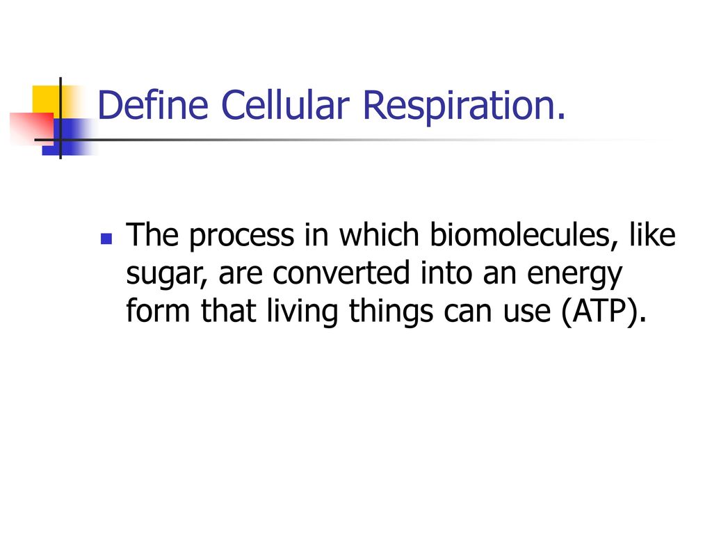 Define Cellular Respiration Ppt Download