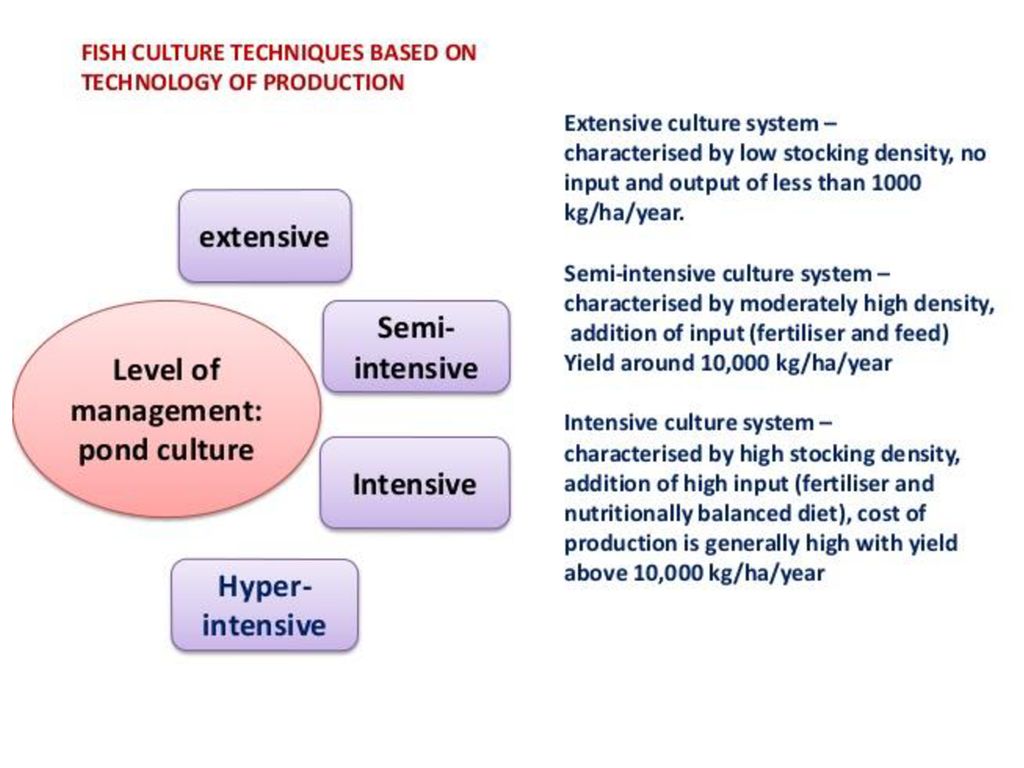 Aquaculture Techniques Ppt Download aquaculture-techniques-ppt-download