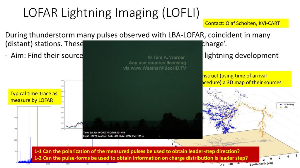 Lofli sales