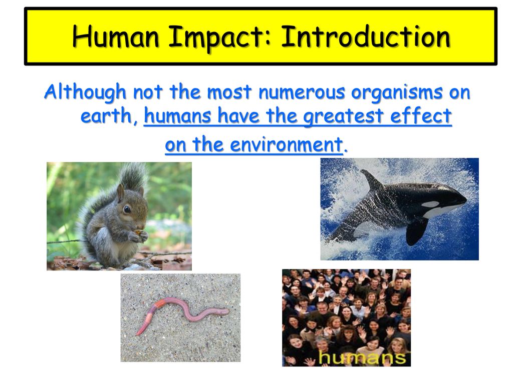 Human Impact: Introduction - ppt download