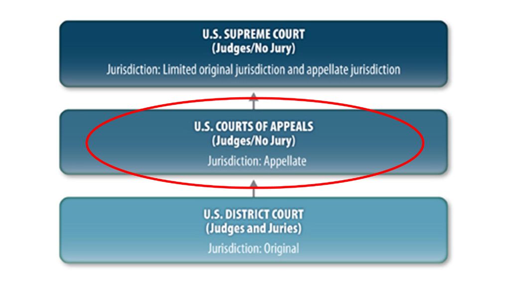 How does a case move from local courts to the U S Supreme Court? ppt