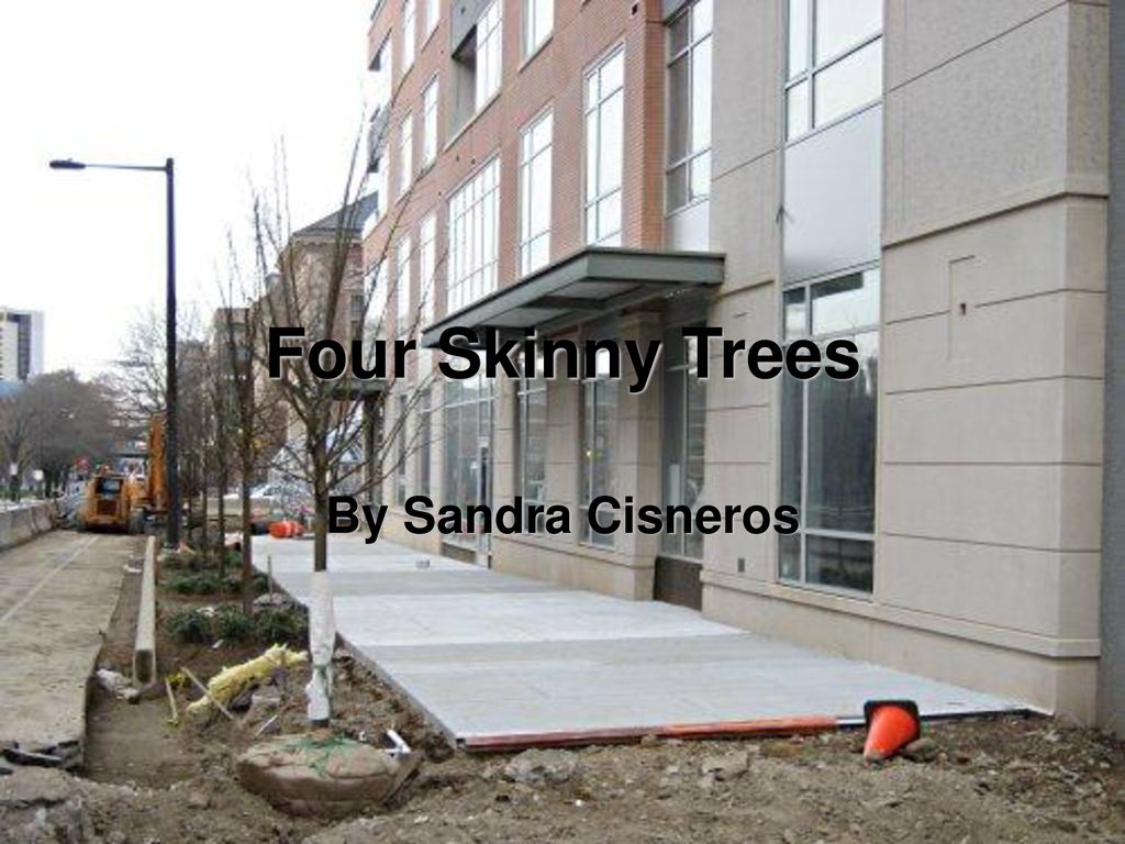 four skinny trees sandra cisneros