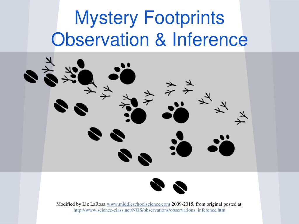 Mystery Footprints Observation & Inference - ppt download Intended For Observation Vs Inference Worksheet