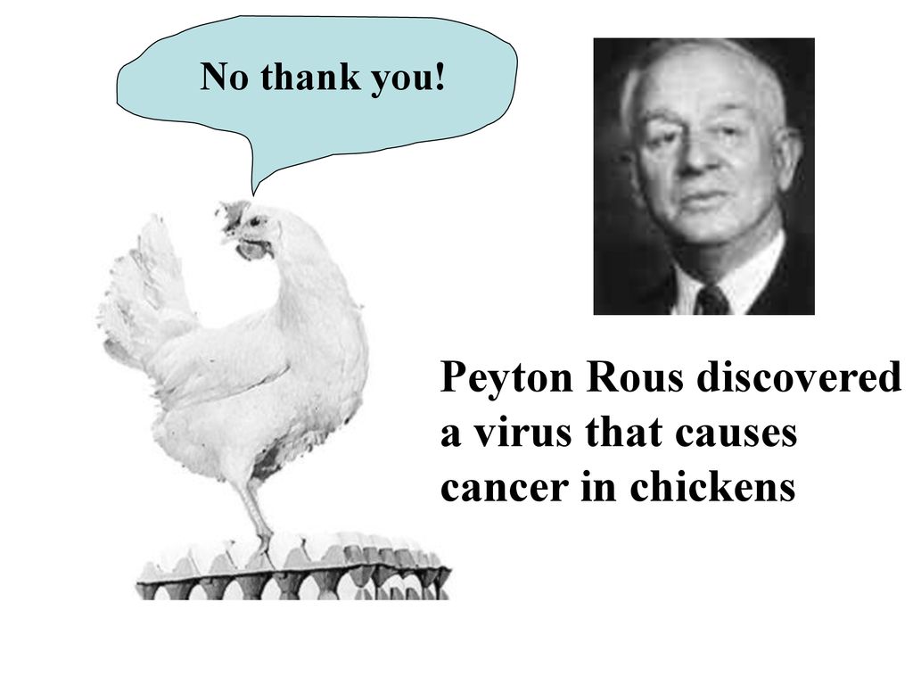 Peyton Rous discovered a virus that causes cancer in chickens - ppt download