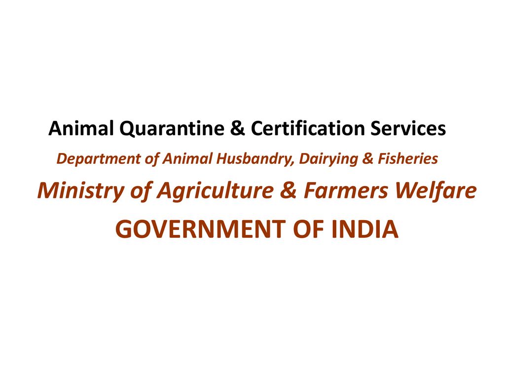 GOVERNMENT OF INDIA Animal Quarantine & Certification Services - ppt  download
