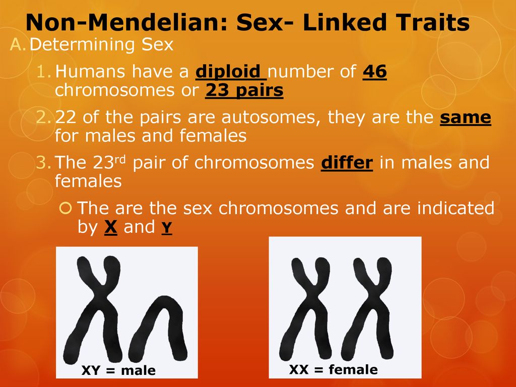 Non-Mendelian: Sex- Linked Traits - ppt download