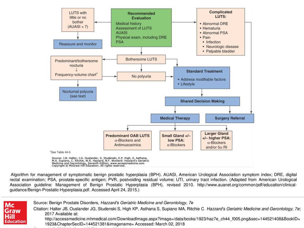 benign prostatic hyperplasia guidelines pdf