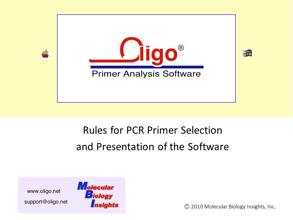 balcón bruscamente Estable Oligo 7 Primer Analysis Software - ppt download