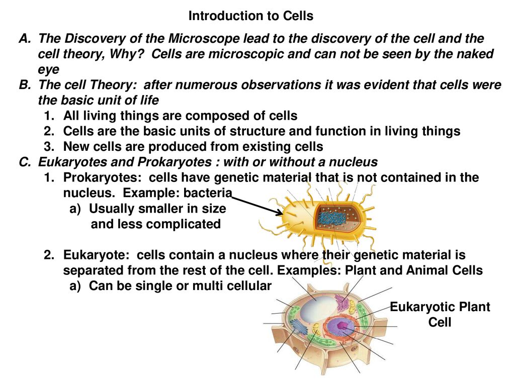 Introduction to Cells The Discovery of the Microscope lead to the discovery  of the cell and the cell theory, Why? Cells are microscopic and can not be.  - ppt download
