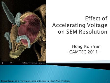 Hong Koh Yiin -CAMTEC 2011- 1 Image from: