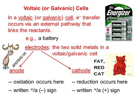 Anorexic ox -- oxidation occurs here Voltaic (or Galvanic) Cells In a voltaic (or galvanic) cell, e – transfer occurs via an external pathway that links.