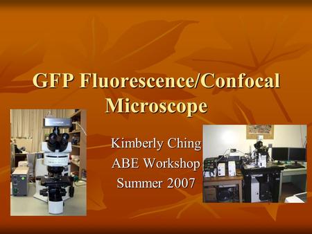 GFP Fluorescence/Confocal Microscope Kimberly Ching ABE Workshop Summer 2007.