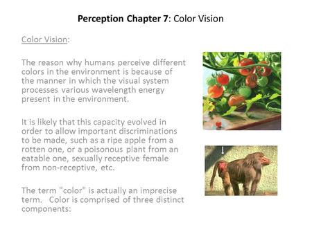 Perception Chapter 7: Color Vision Color Vision: The reason why humans perceive different colors in the environment is because of the manner in which the.