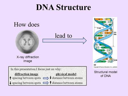 DNA Structure How does lead to X-ray diffraction image Structural model of DNA In this presentation I focus just on why: diffraction image physical model.