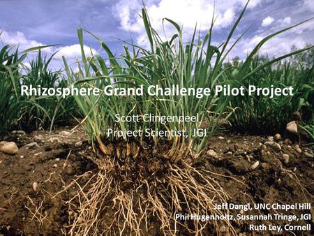 Jeff Dangl, UNC Chapel Hill Phil Hugenholtz, Susannah Tringe, JGI Ruth Ley, Cornell Rhizosphere Grand Challenge Pilot Project Scott Clingenpeel Project.