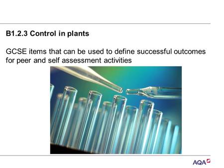     B1.2.3 Control in plants GCSE items that can be used to define successful outcomes for peer and self assessment activities.
