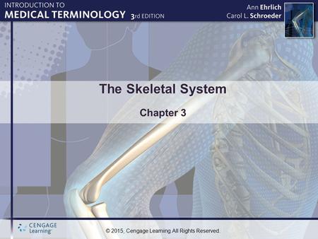 The Skeletal System Chapter 3.