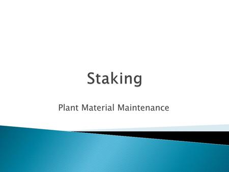Plant Material Maintenance.  Compared to un-staked trees, staked trees will: